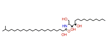 (2S,3S,4R)-(2R)-2-Hydroxy-N-(1,3,4-trihydroxypentadecan-2-yl)-21-methyldocosanamide